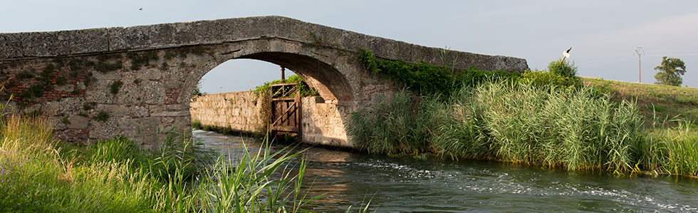 naviglio bereguardo consorzio rete idrica